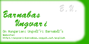 barnabas ungvari business card